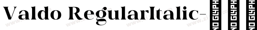 Valdo RegularItalic字体转换